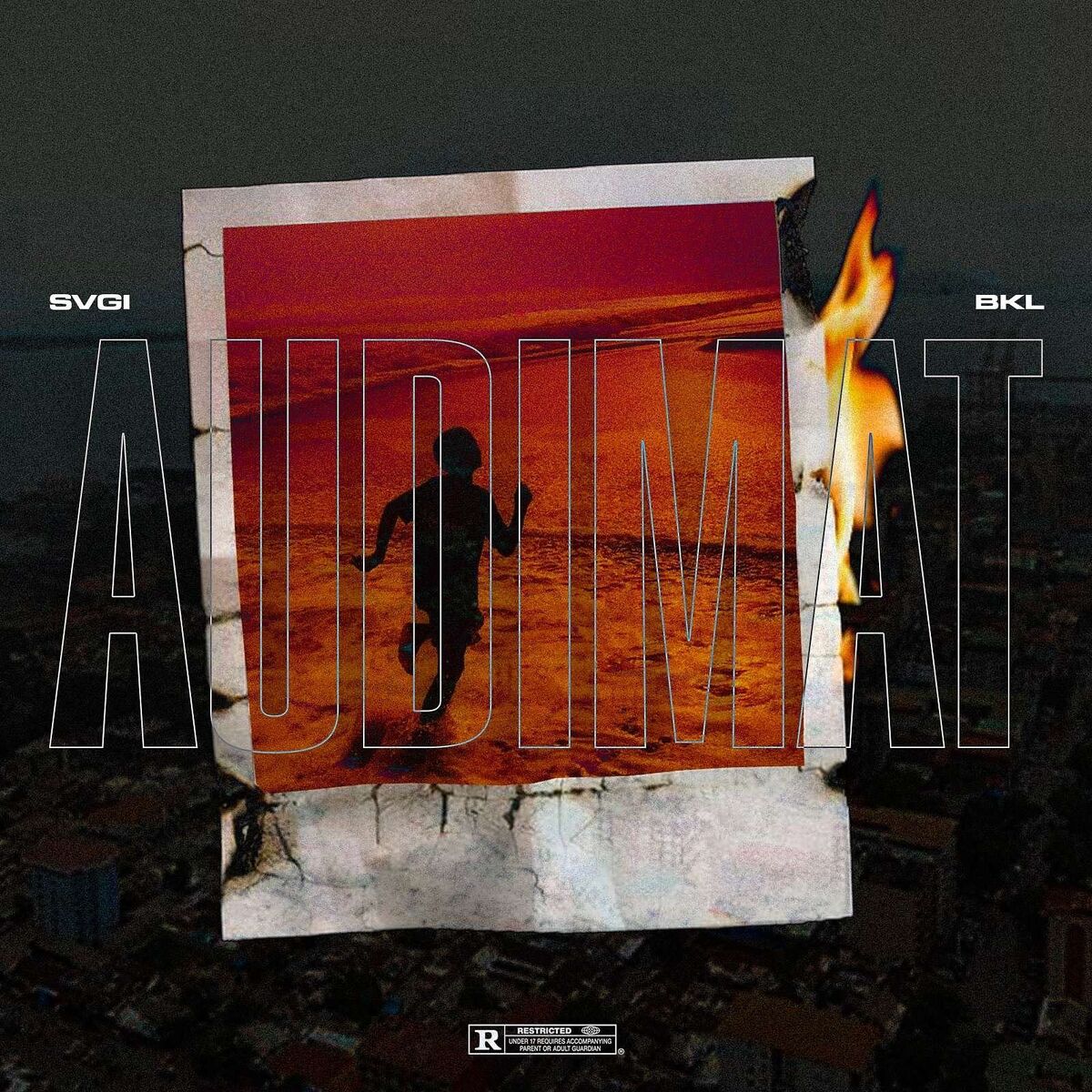 Album cover of AUDIMAT