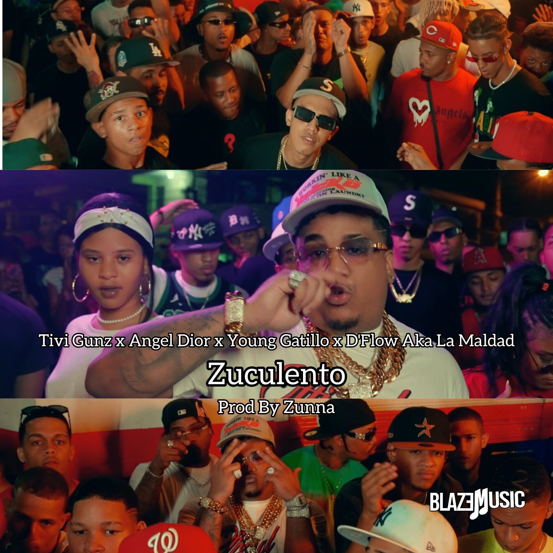 Album cover of Zuculento