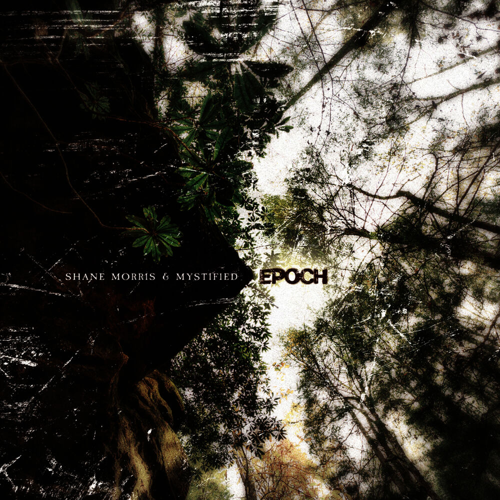 Picture of Epoch