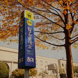 Cover of Apgujeong Rodeo