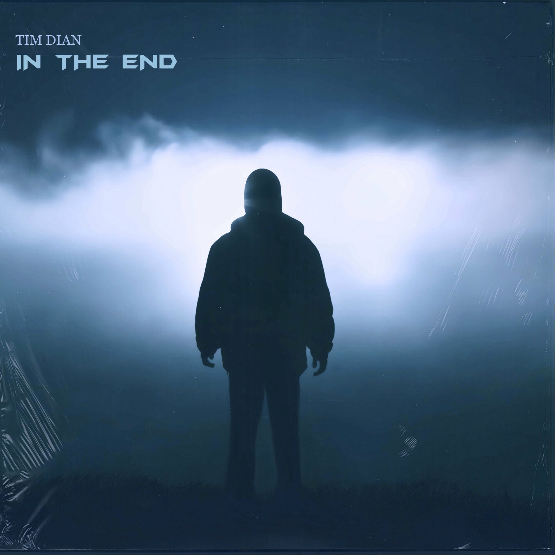 Album cover of In the End