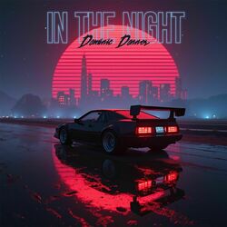 Cover of in the night
