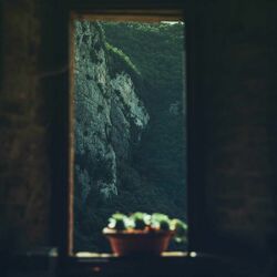 Cover of Intercosmia Vol. 1