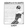 Lady by Adam & The Ants album cover