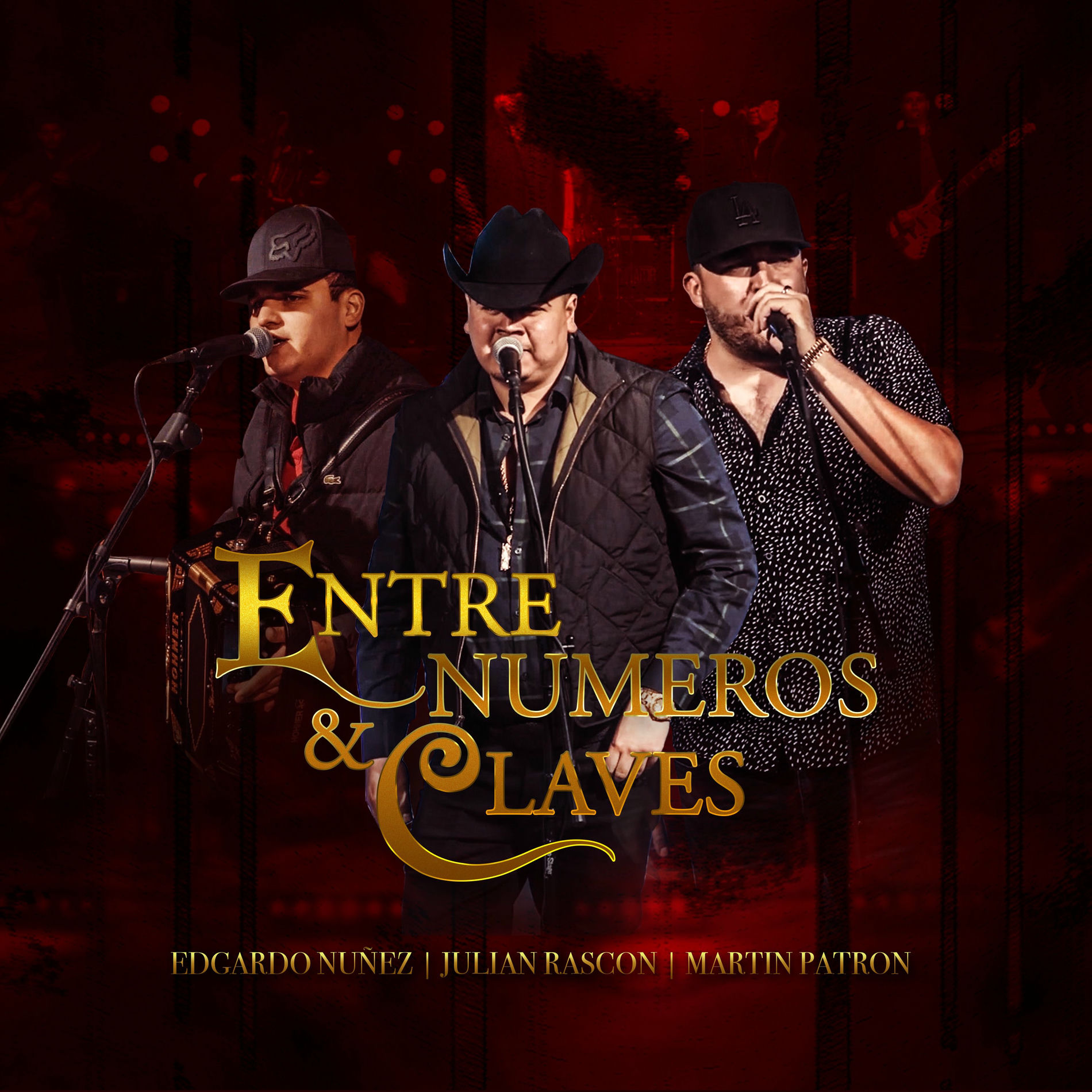 Album cover of Entre Numeros y Claves (En Vivo)