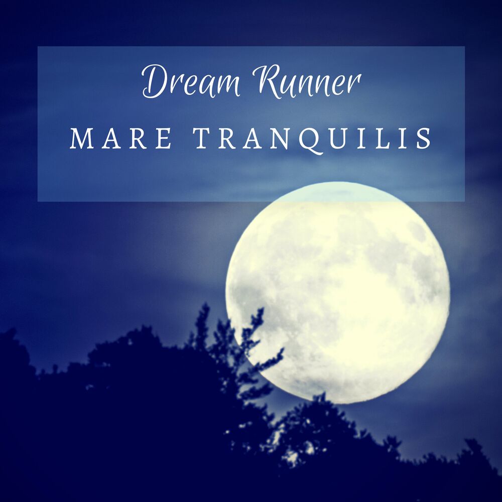 Picture of Mare Tranquilis