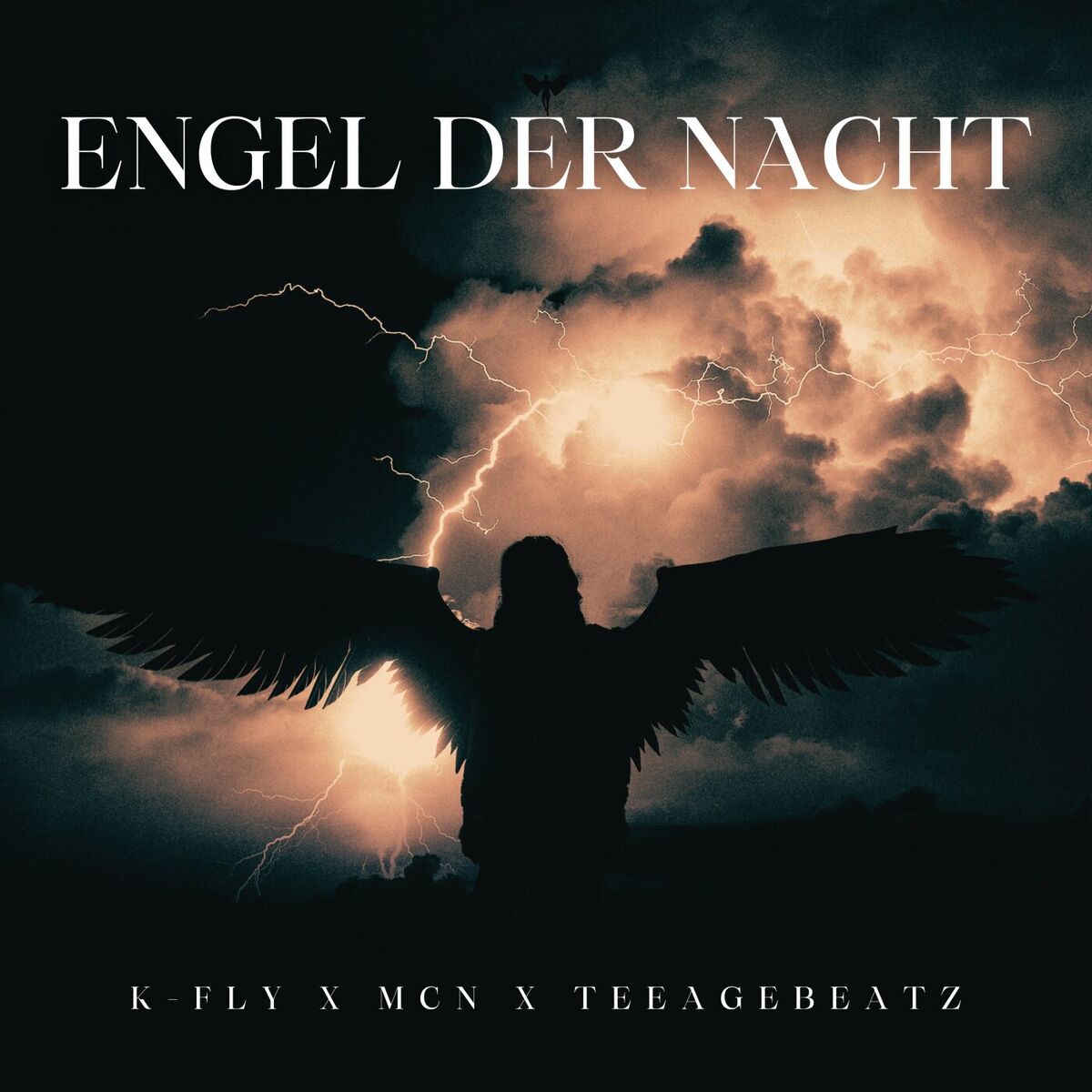 Album cover of Engel der Nacht