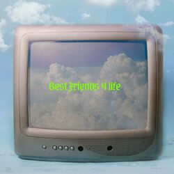 Cover of Best Friends 4 Life