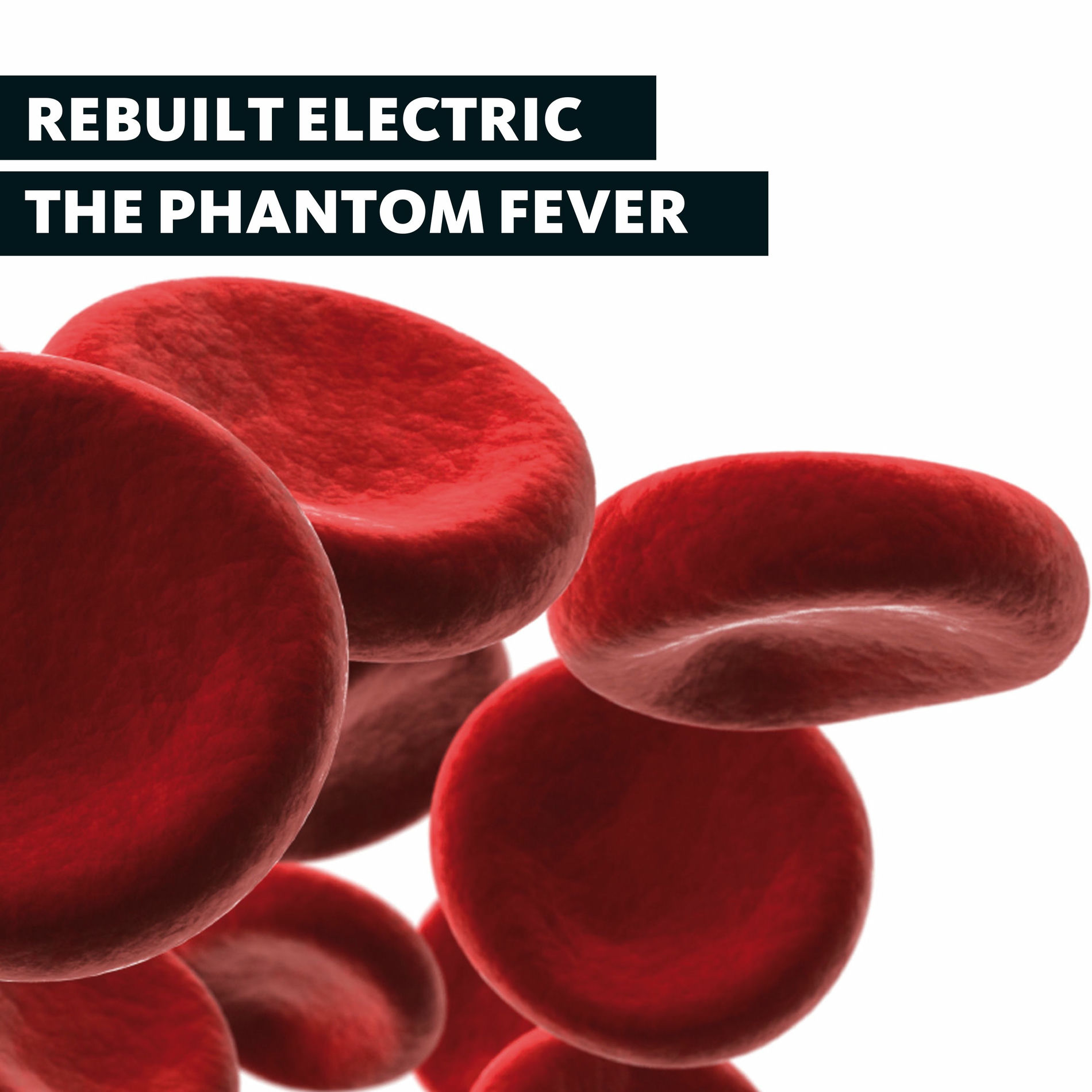 Album cover of The Phantom Fever