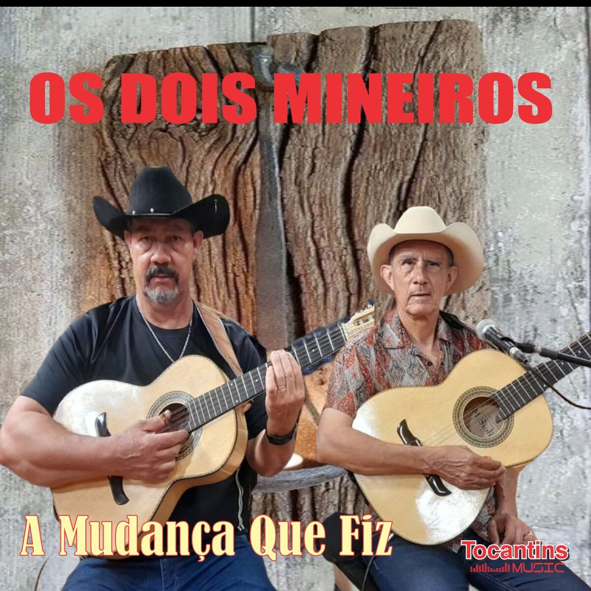 Album cover of A Mudança Que Fiz