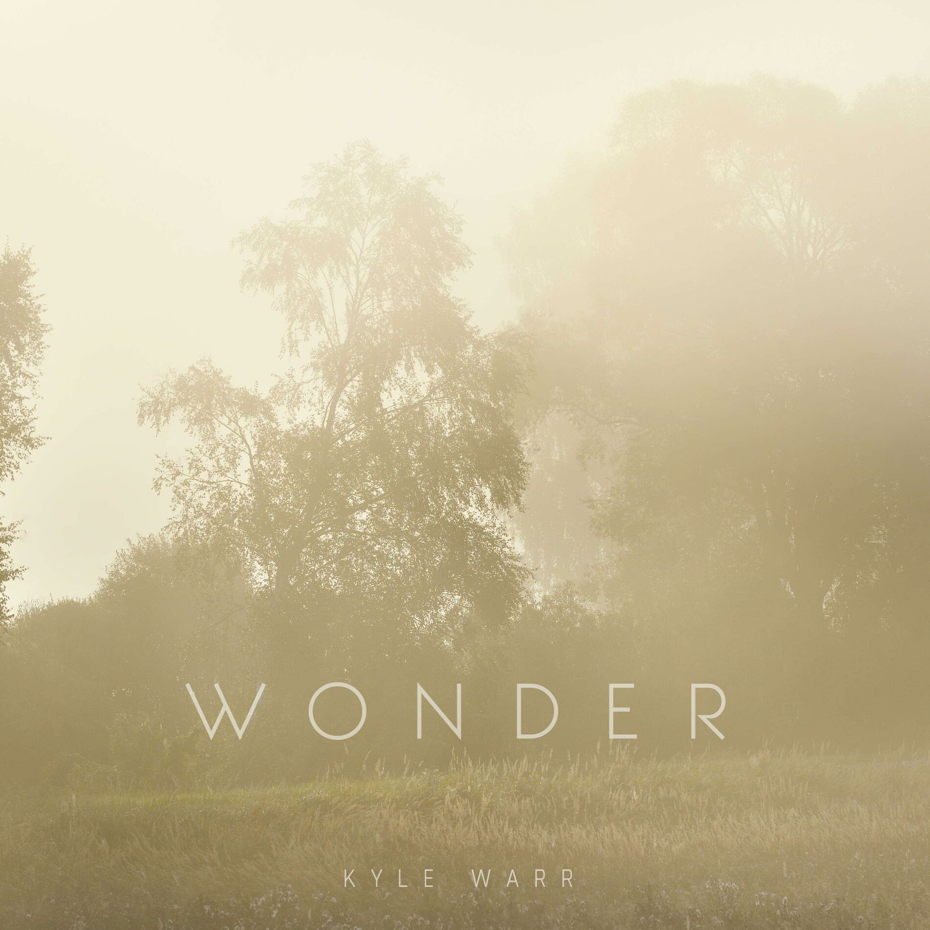 Album cover of Wonder
