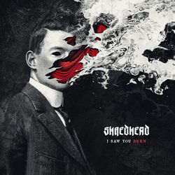 Cover of I Saw You Burn
