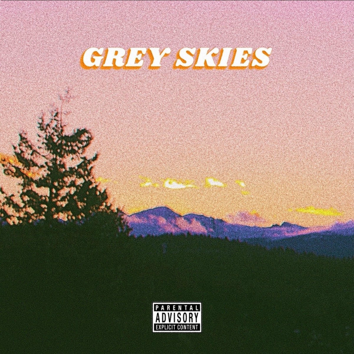 Album cover of Grey Skies