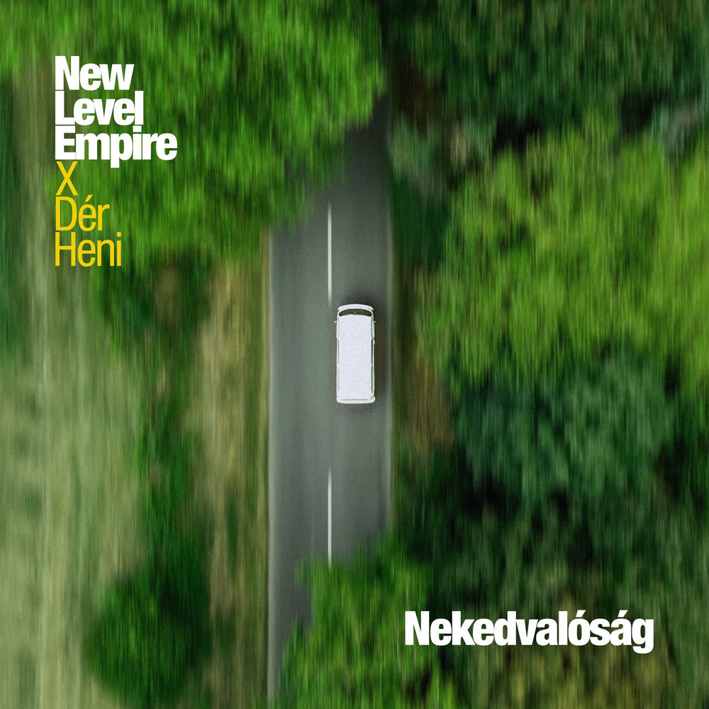 New Level Empire & Dér Heni – Nekedvalóság borító