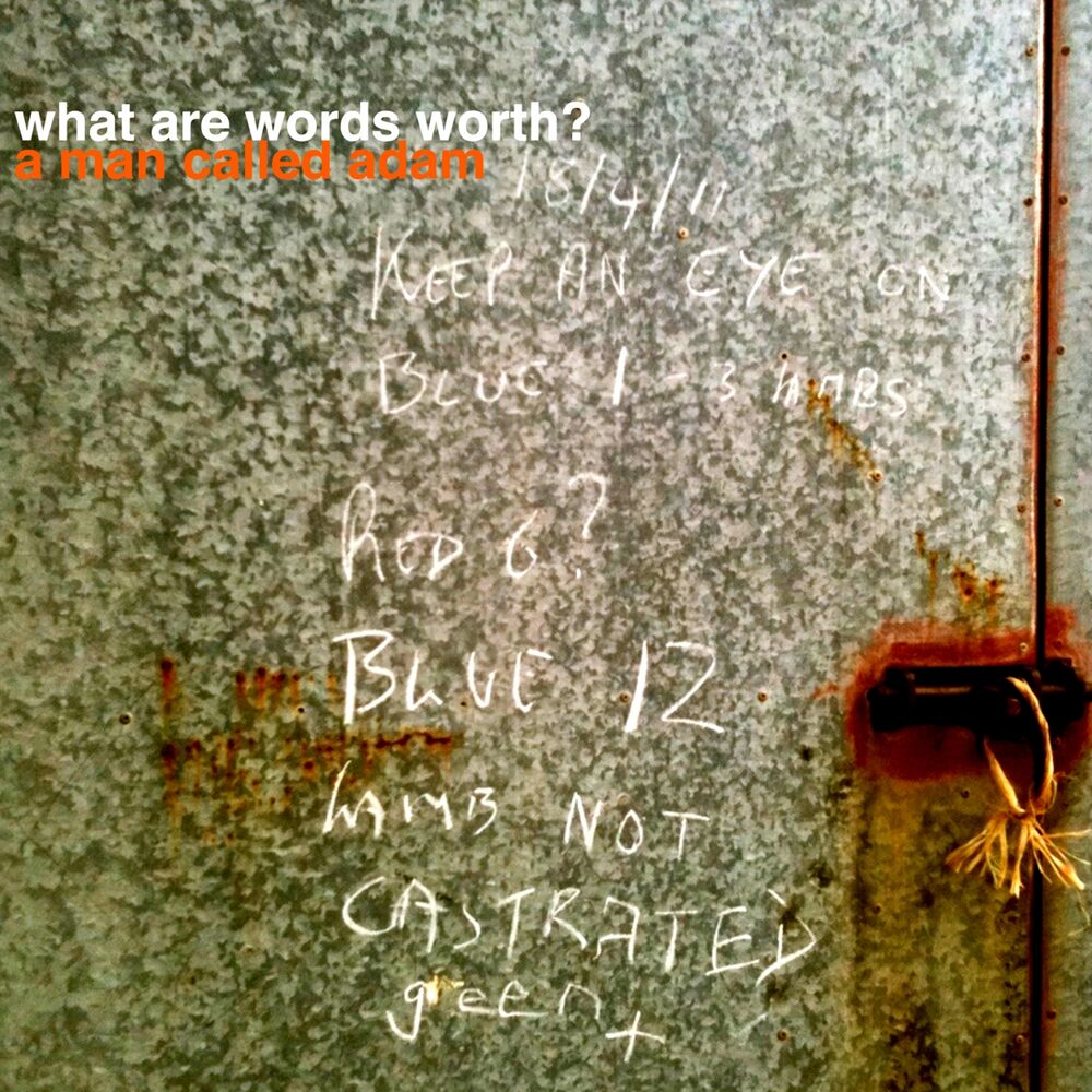 Picture of What Are Words Worth?