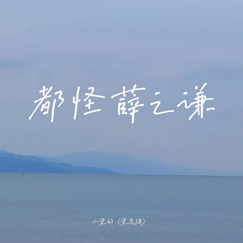 都怪薛之谦 (DJEva版)