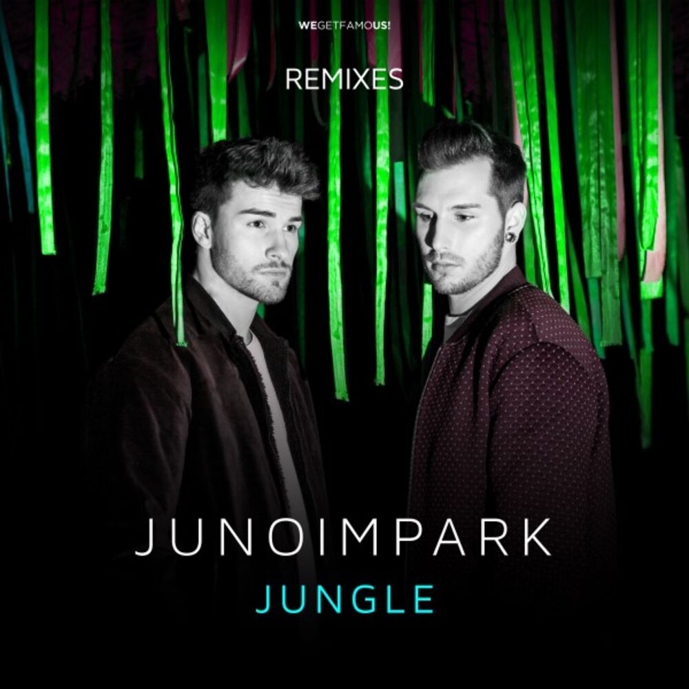 Picture of Jungle (Remixes)