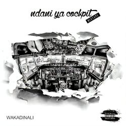 Cover of Ndani Ya Cockpit