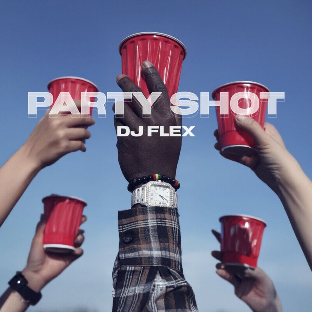 Album cover of Party Shot
