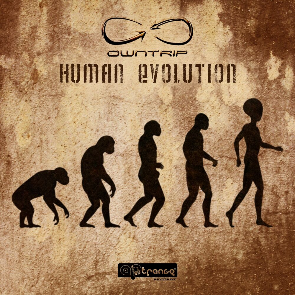 Picture of Human Evolution