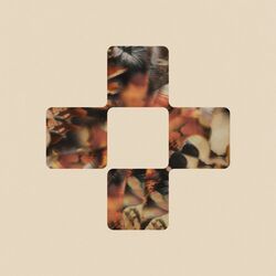 Cover of Fortuna