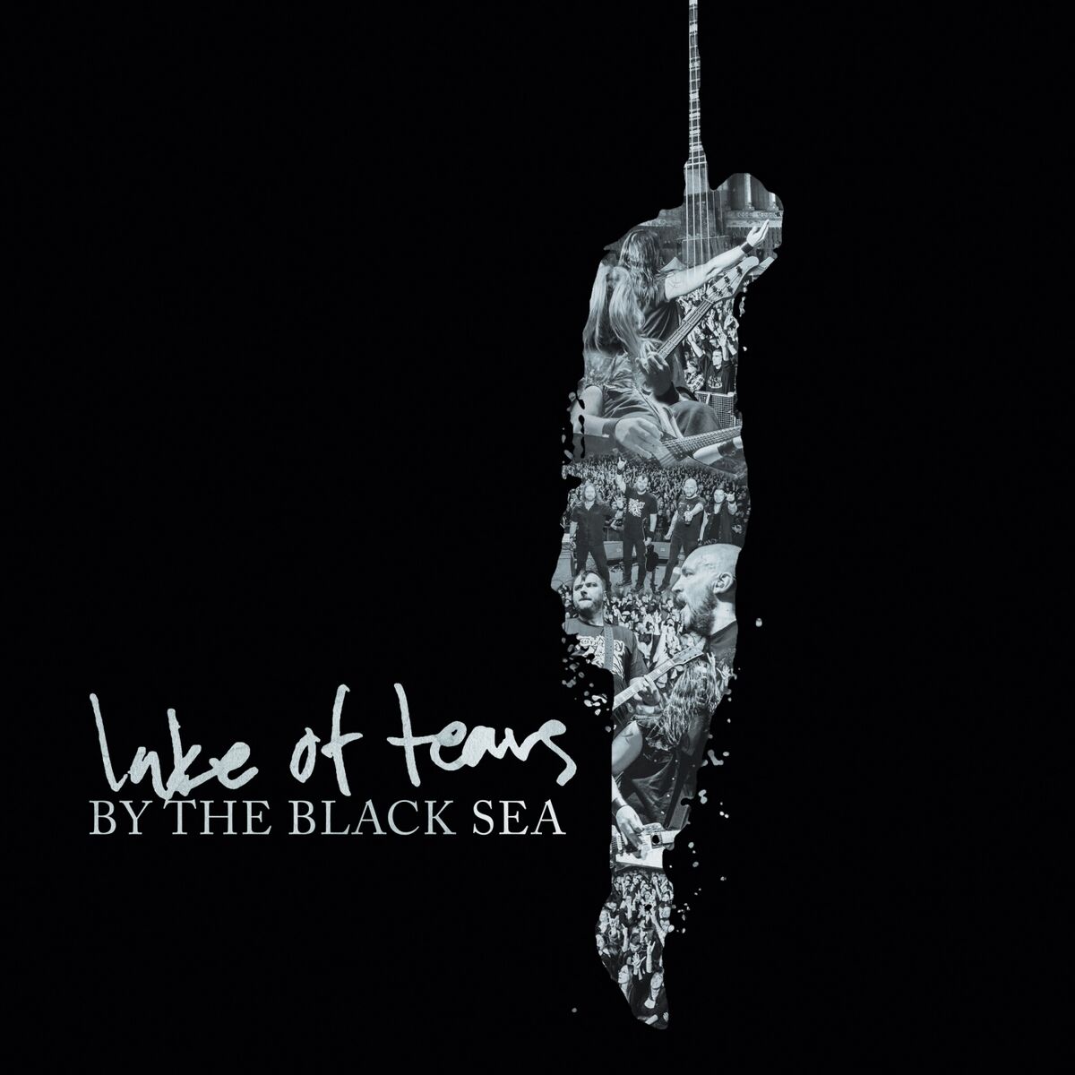 Album cover of Demon You / Lily Anne (Live)