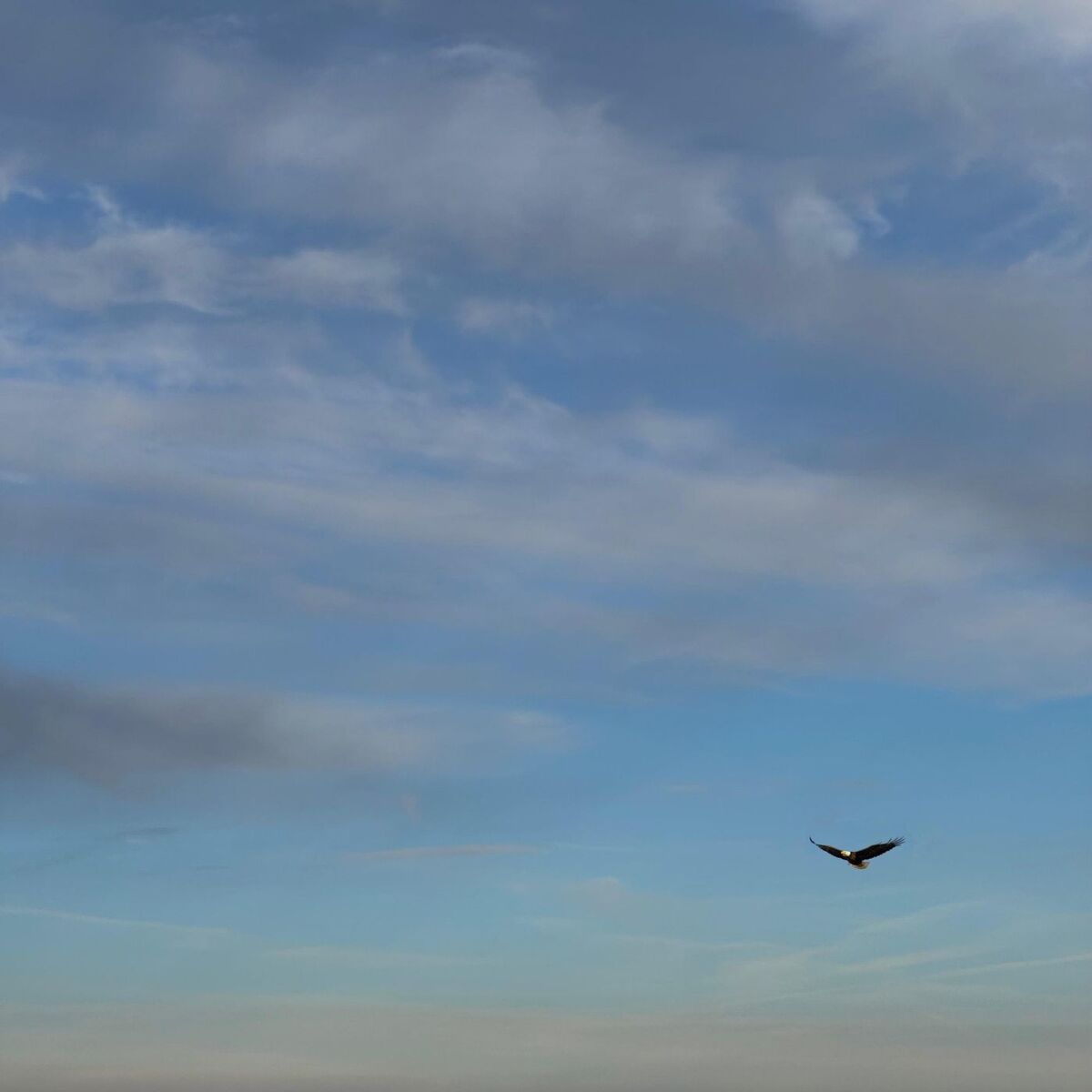 Album cover of Ewigkeit