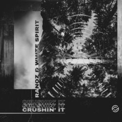 Cover of Crushin' It