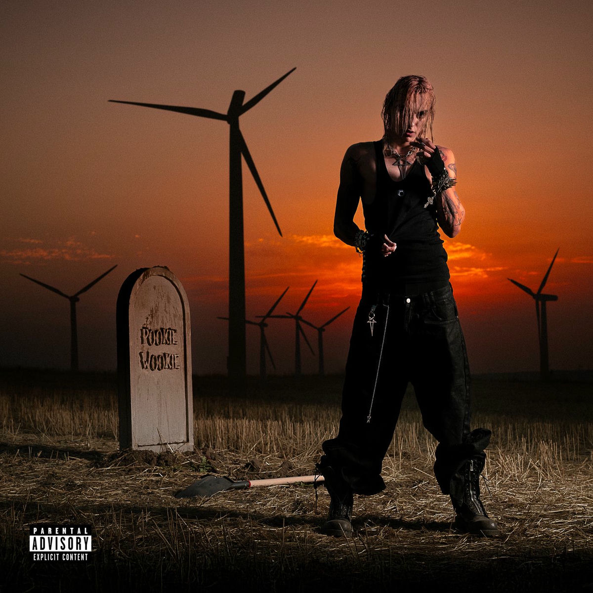 Album cover of pookie wookie