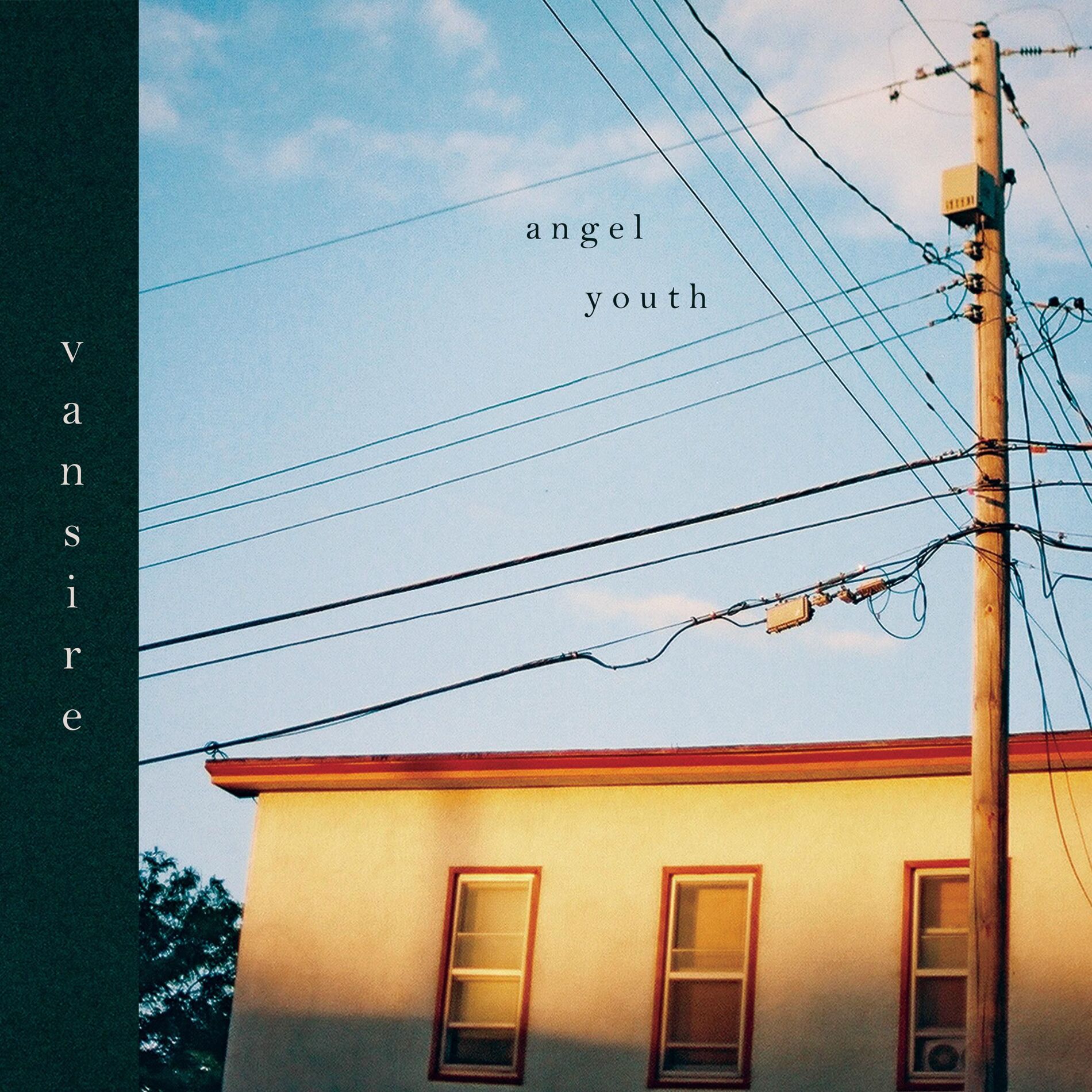 Album cover of Angel Youth