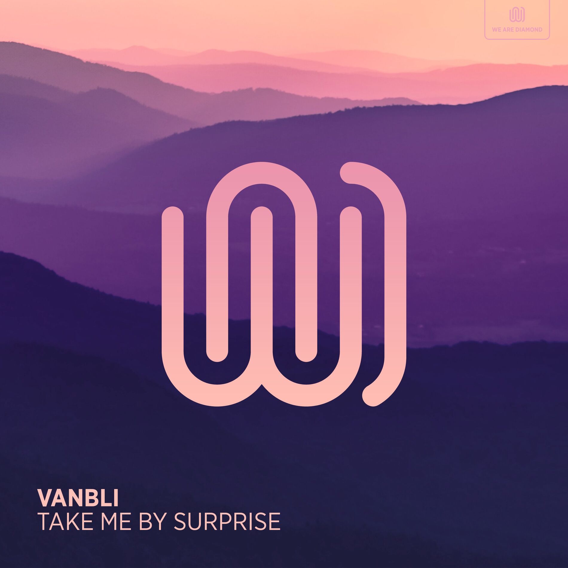 Album cover of Take Me by Surprise