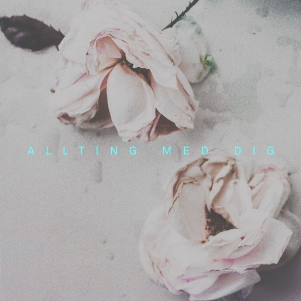 Picture of Allting med dig