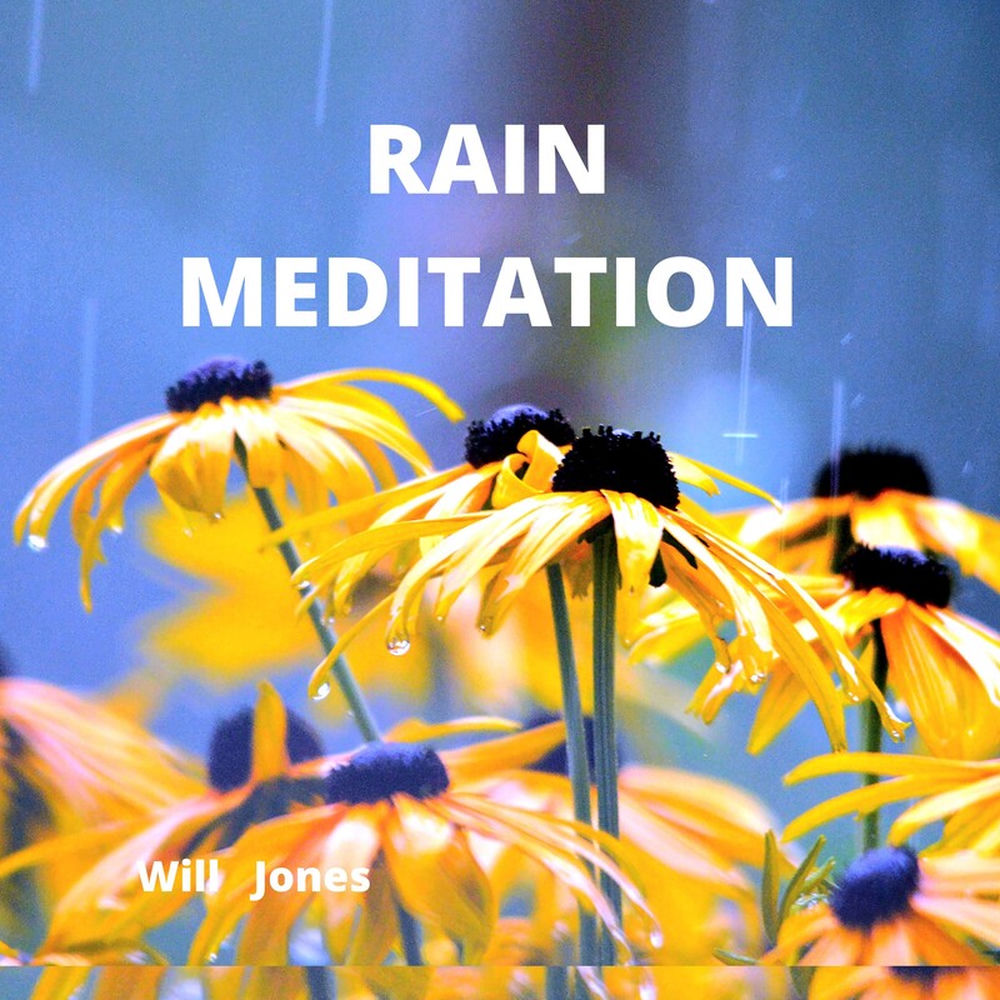 Album artwork for Rain Meditation by Will Jones