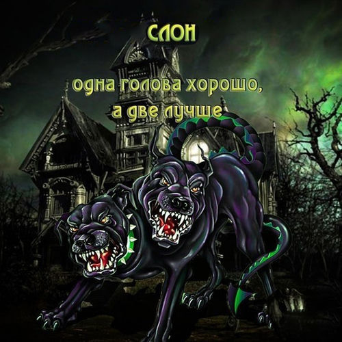 Одна голова хорошо, а две лучше