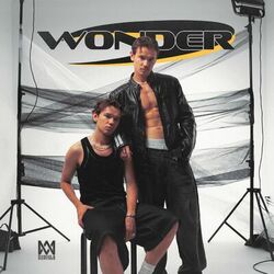 Cover of Wonder