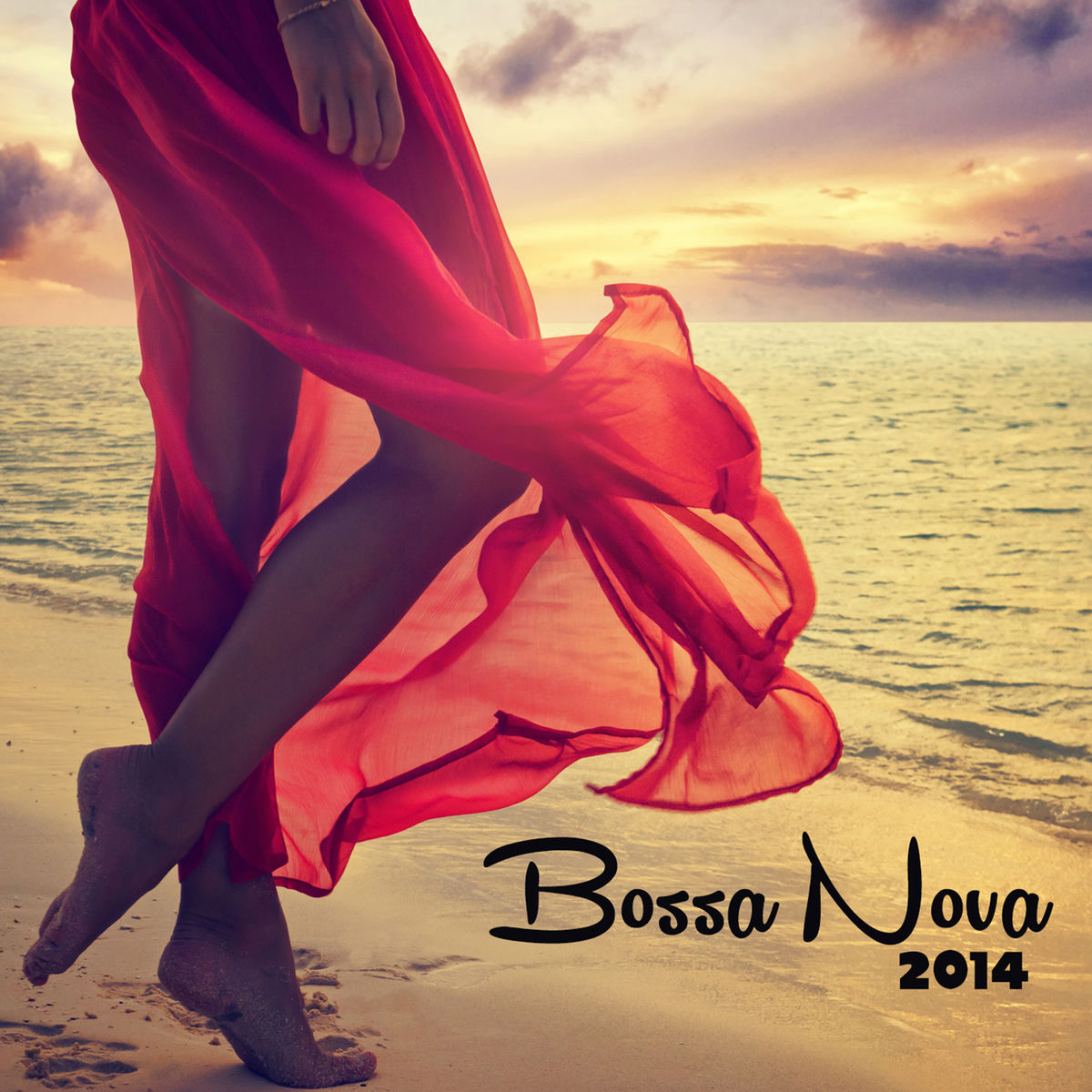 Album cover of Bossa Nova 2014