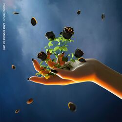 Cover of Last Chance At Life