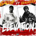Elevation (feat. Venomster)