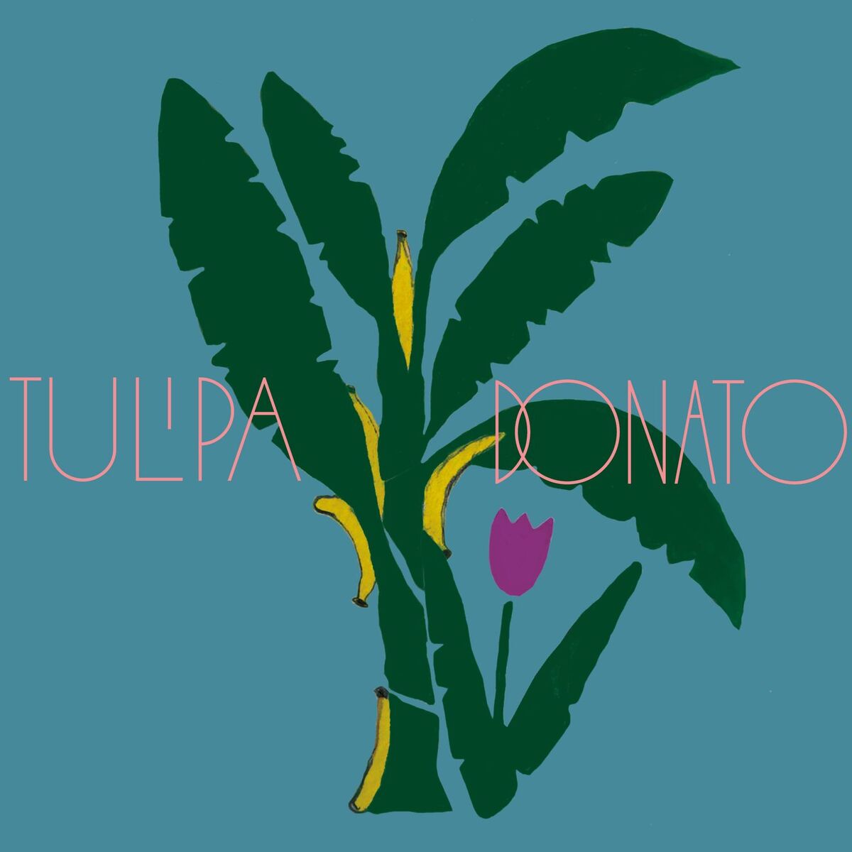 Album cover of Tulipa e Donato
