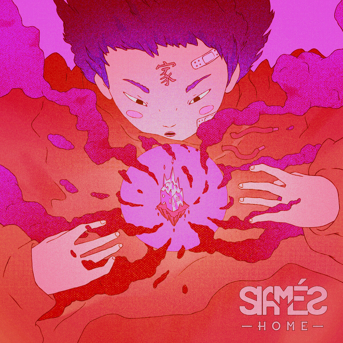 Album cover of Home