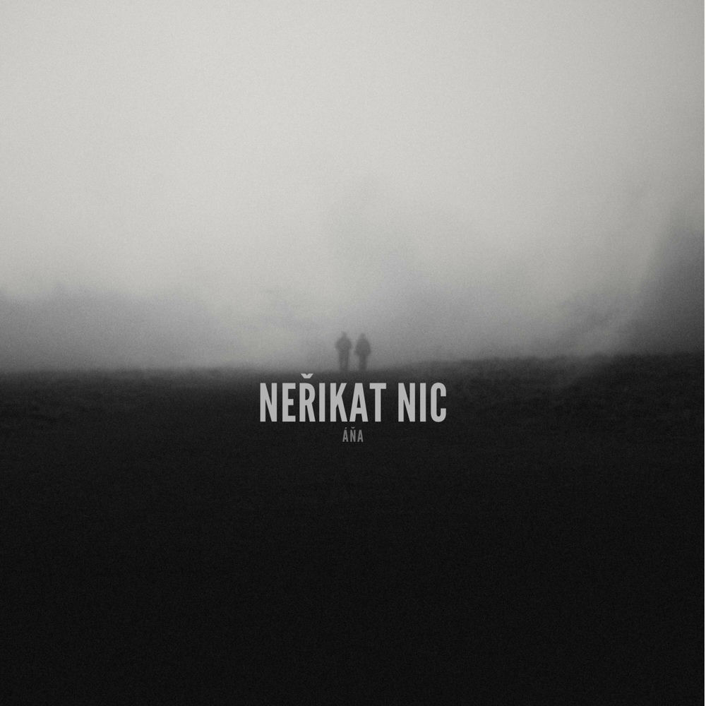 Album artwork for Neřikat nic by Ana