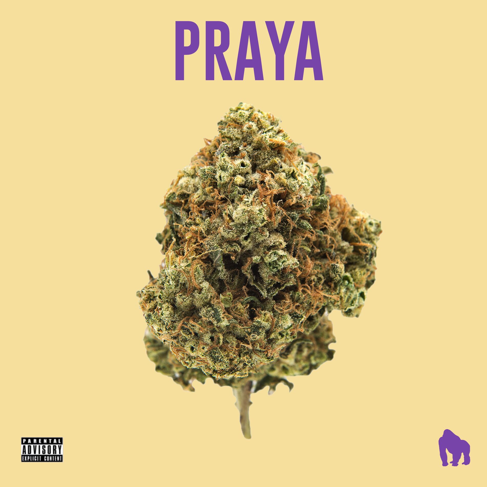Album cover of Praya