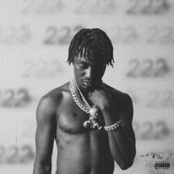 Cover of 222