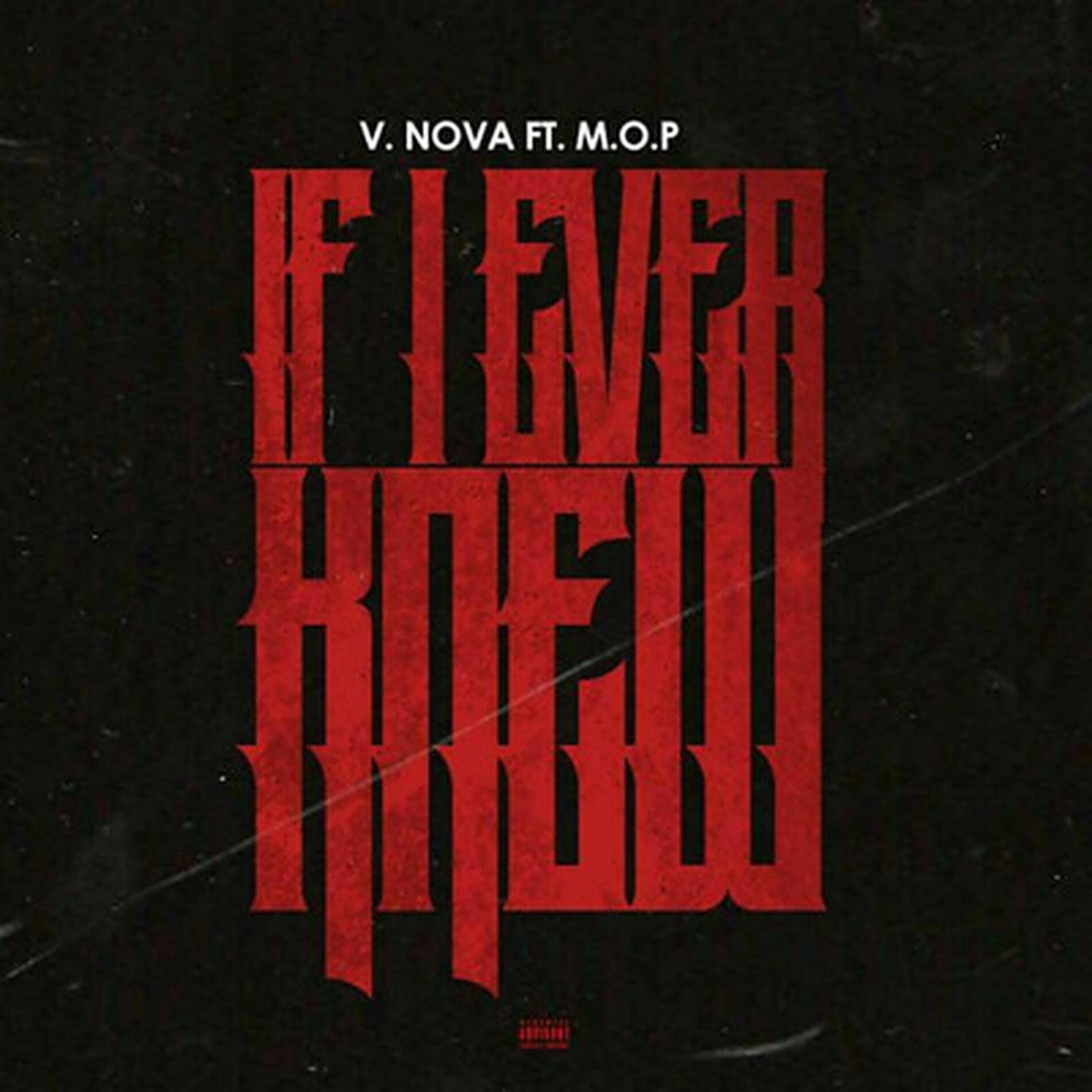 Album cover of If I Ever Knew (feat. M.O.P.)