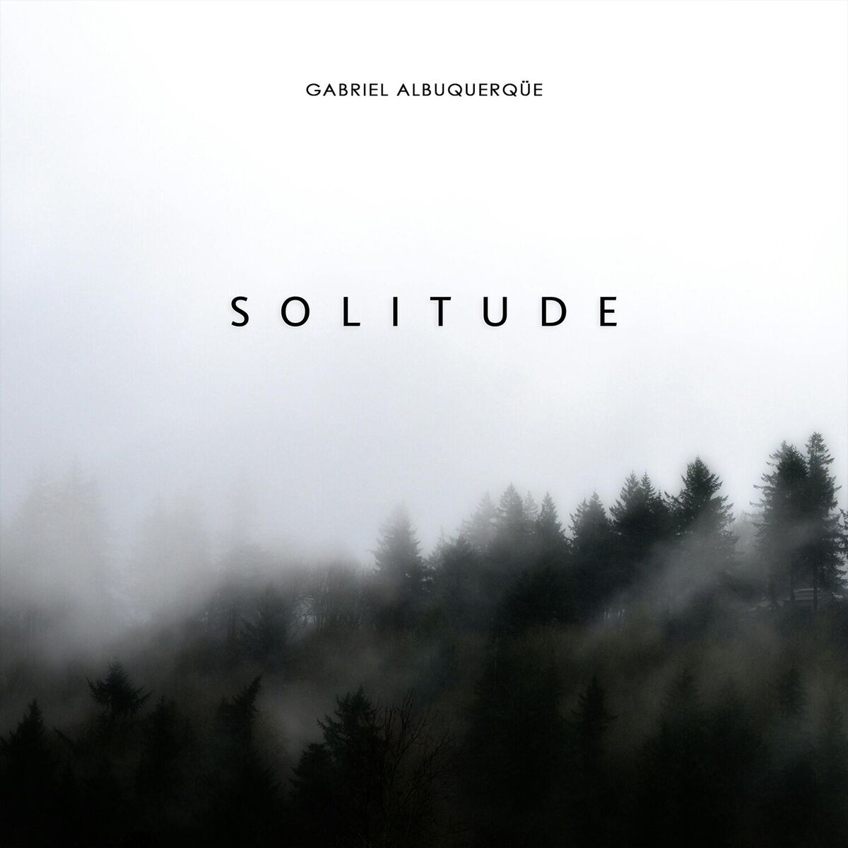 Album cover of Solitude