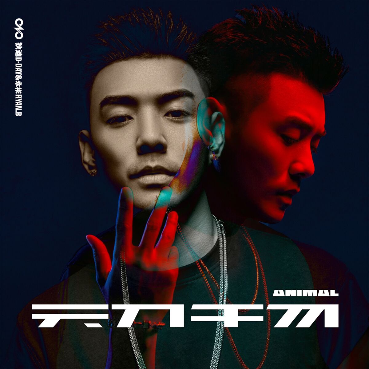 Album cover of ANIMAL