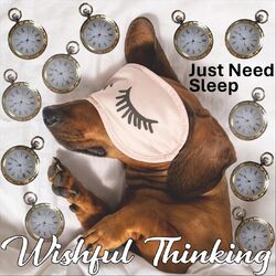 Cover of Just Need Sleep