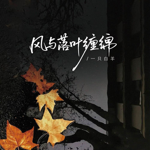 风与落叶缠绵