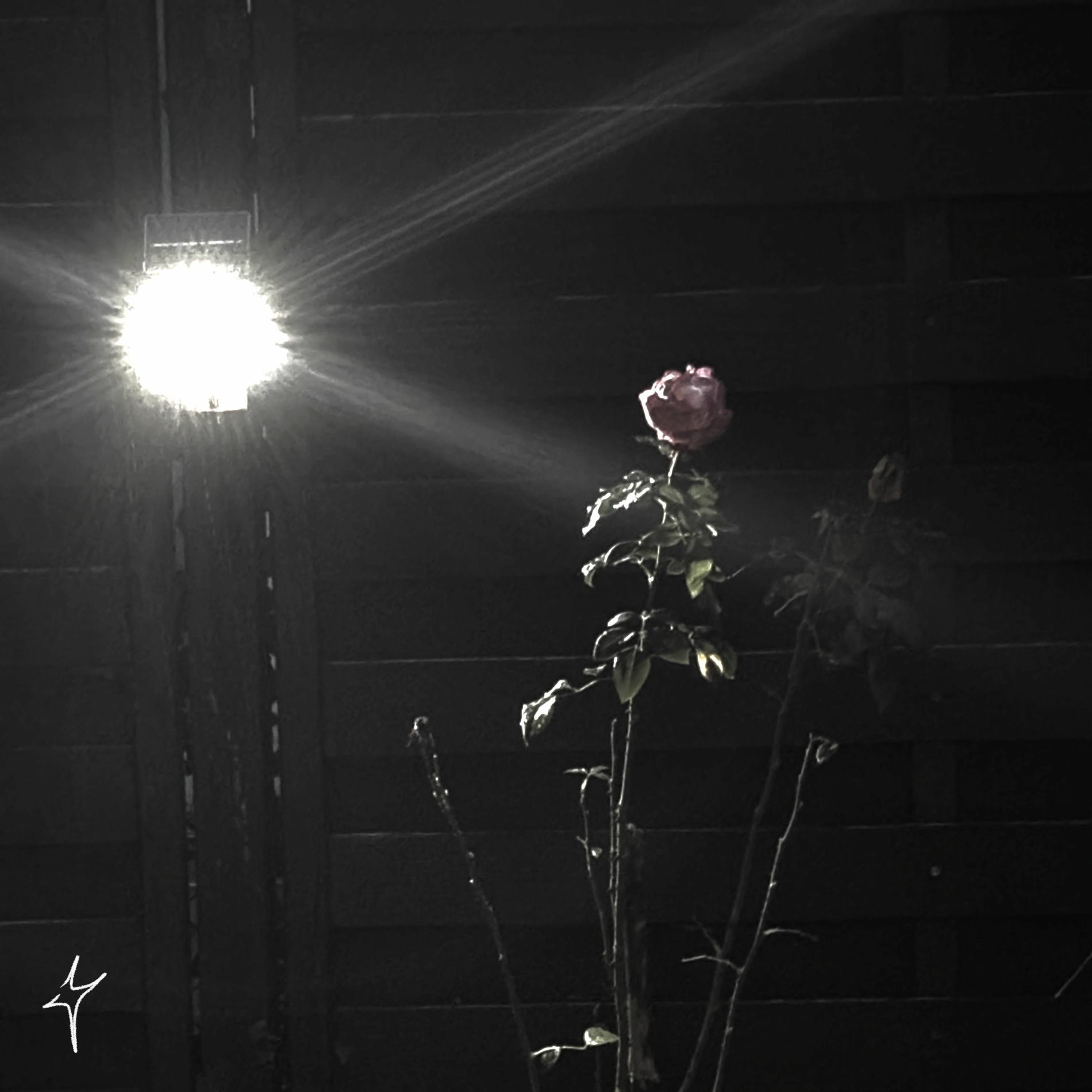 Album cover of EYES CLOSED (feat. Dorian)