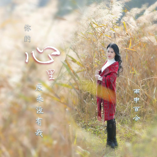 你的心里原来没有我